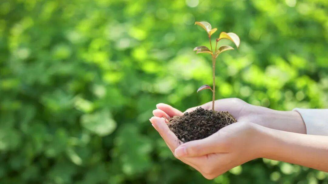 曾被断言“没救”的她,凭这个方法逆转了结果