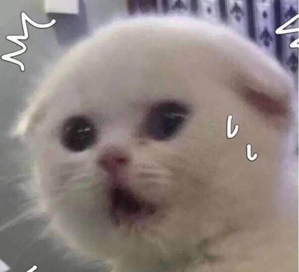 上海一对婆媳因阻碍加梯，与五位邻居“大打出手”！