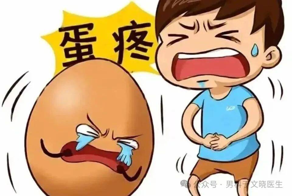 原创            “蛋疼”真不是玩笑：睾丸疼痛的N种可能及就医指南