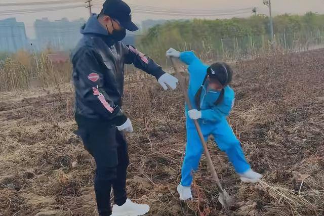 原创            汪峰没想到！他只是带女儿去挖个红薯，就被森林北撕碎了“体面”