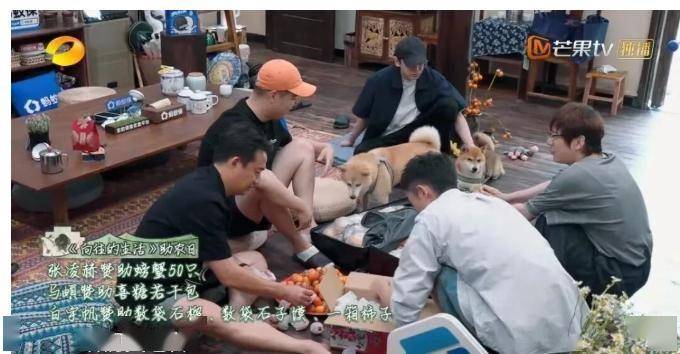 原创            《向往8》第八期封神！张凌赫无聊到出梗