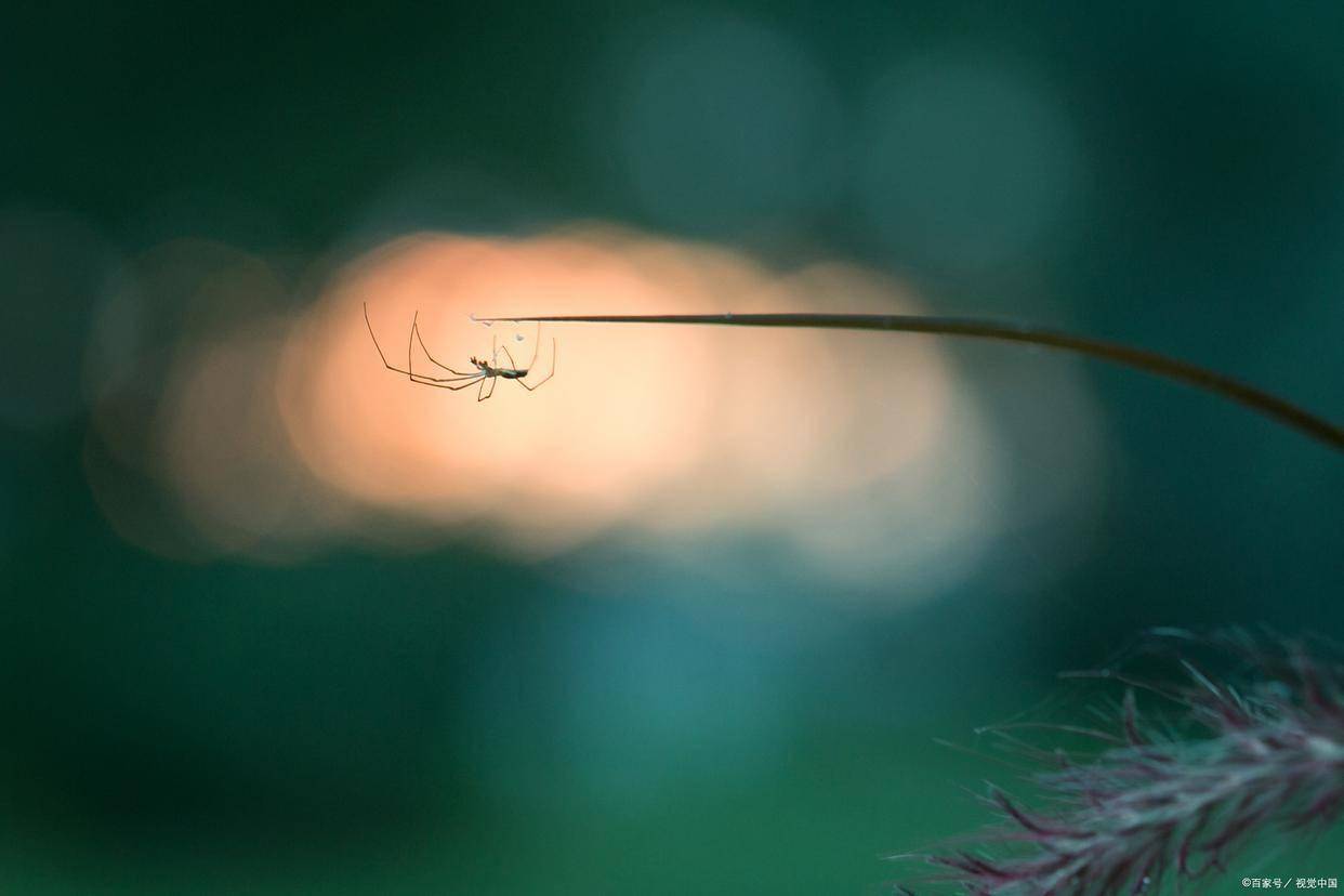 吃定男人靠的不是联系和满足？答案藏在这两个字里，不看亏大