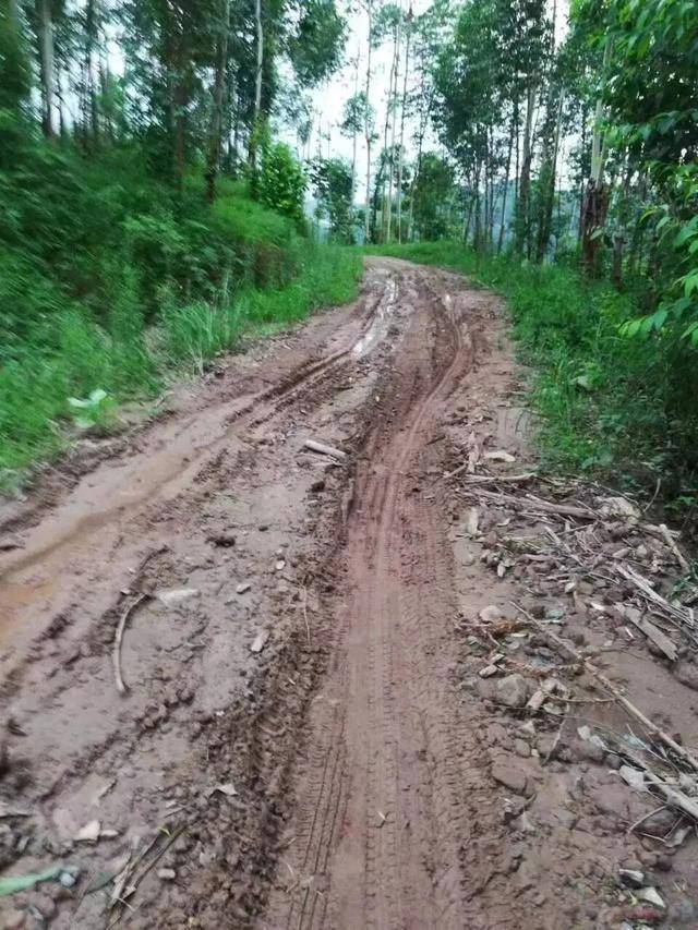 四川一村民众筹30万元欲硬化3公里长通村路，10年间10人去世都未等来动工