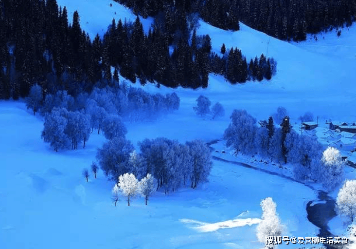 原创            进入冬季，有钱没钱要记得多吃“冬季8珍”，身强体健、安然过冬！