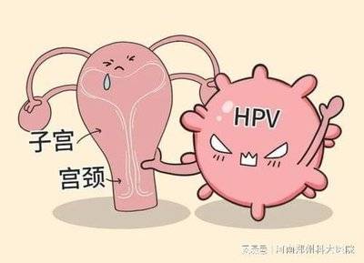 反复感染 HPV 该怎么办？找到根源是关键