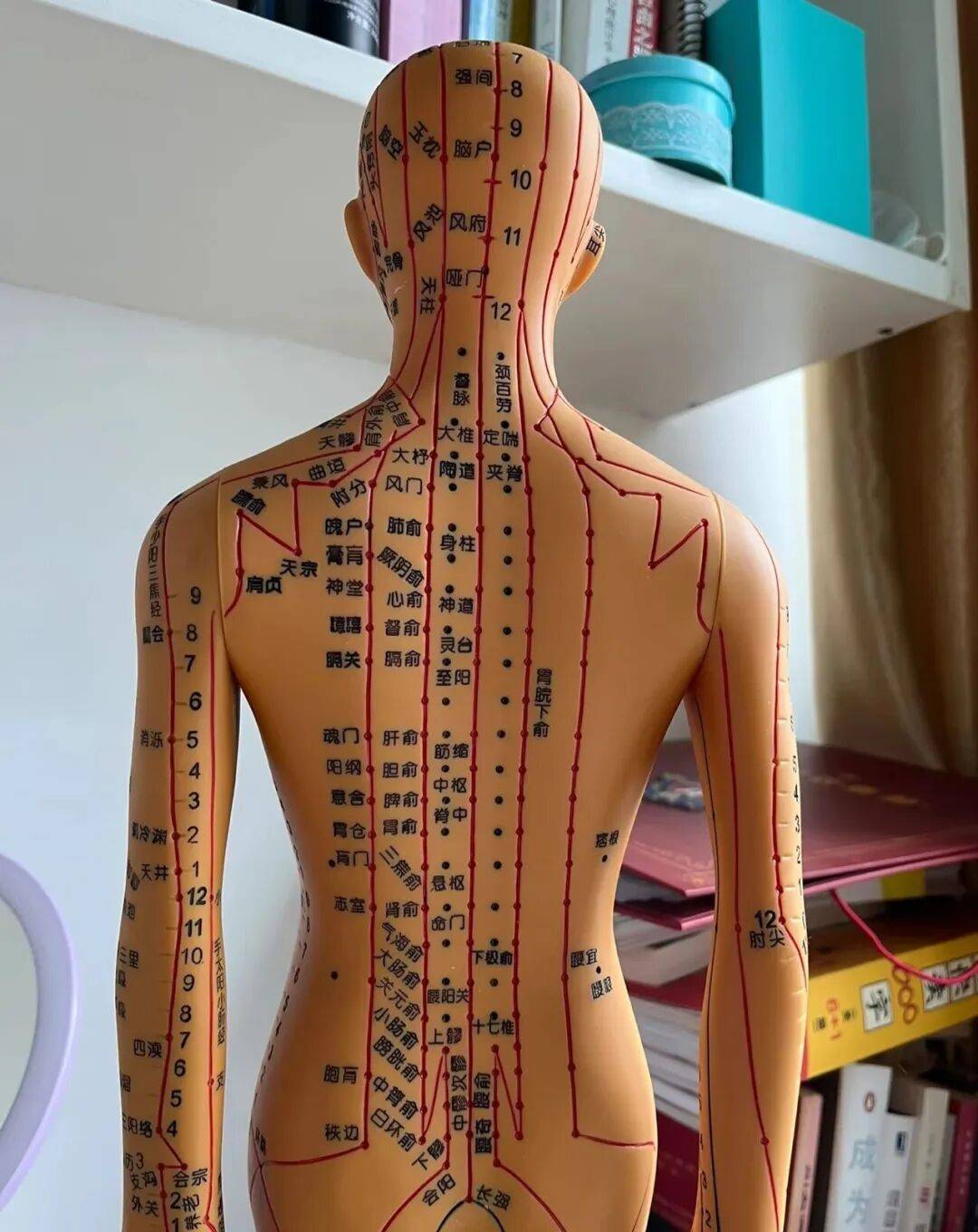 每天1个小动作，竟可打通5条经络，站着/坐着就能帮身体排毒！