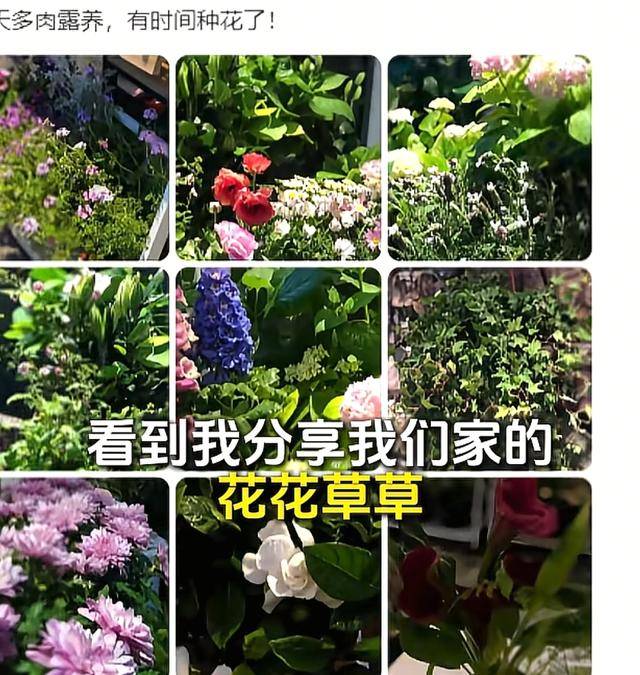 原创            破产后，王中磊搬新家还住别墅，院子稀稀拉拉，老婆叹回不到以前