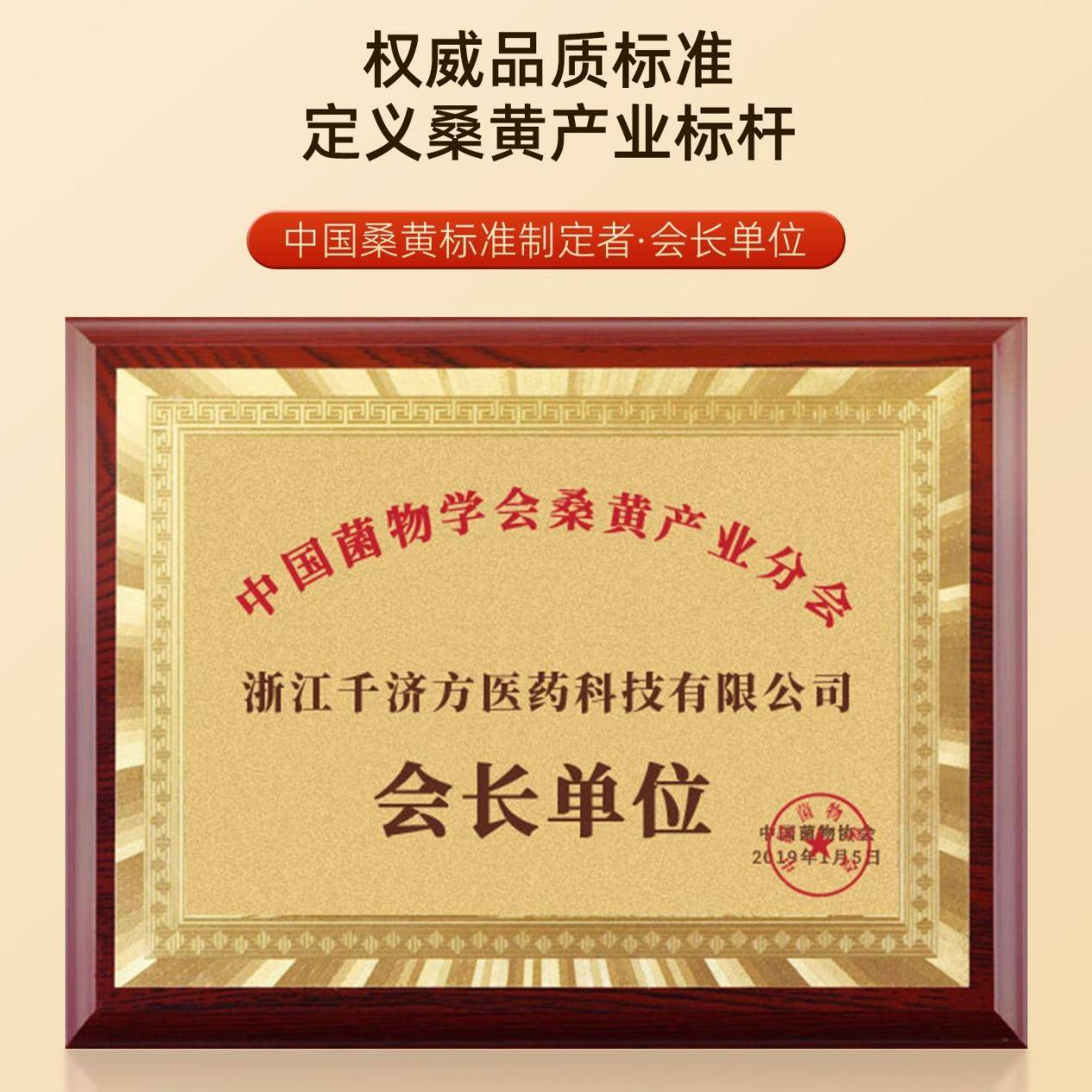 桑黄如何调节免疫实现抗衰老——原理深度剖析