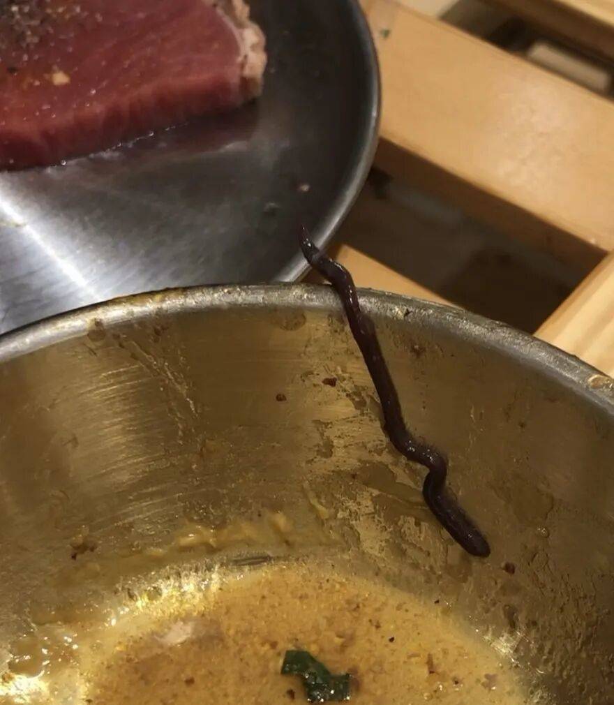 头皮发麻！吃烤肉时从嘴里掉出一条10厘米长深褐色活虫，餐厅回应：已与消费者谈好补偿方案