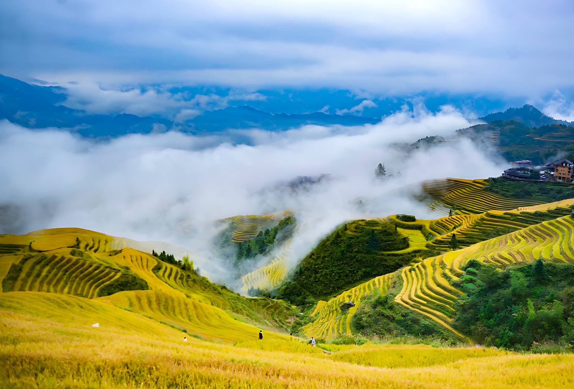 城际之间，双城生活纽带