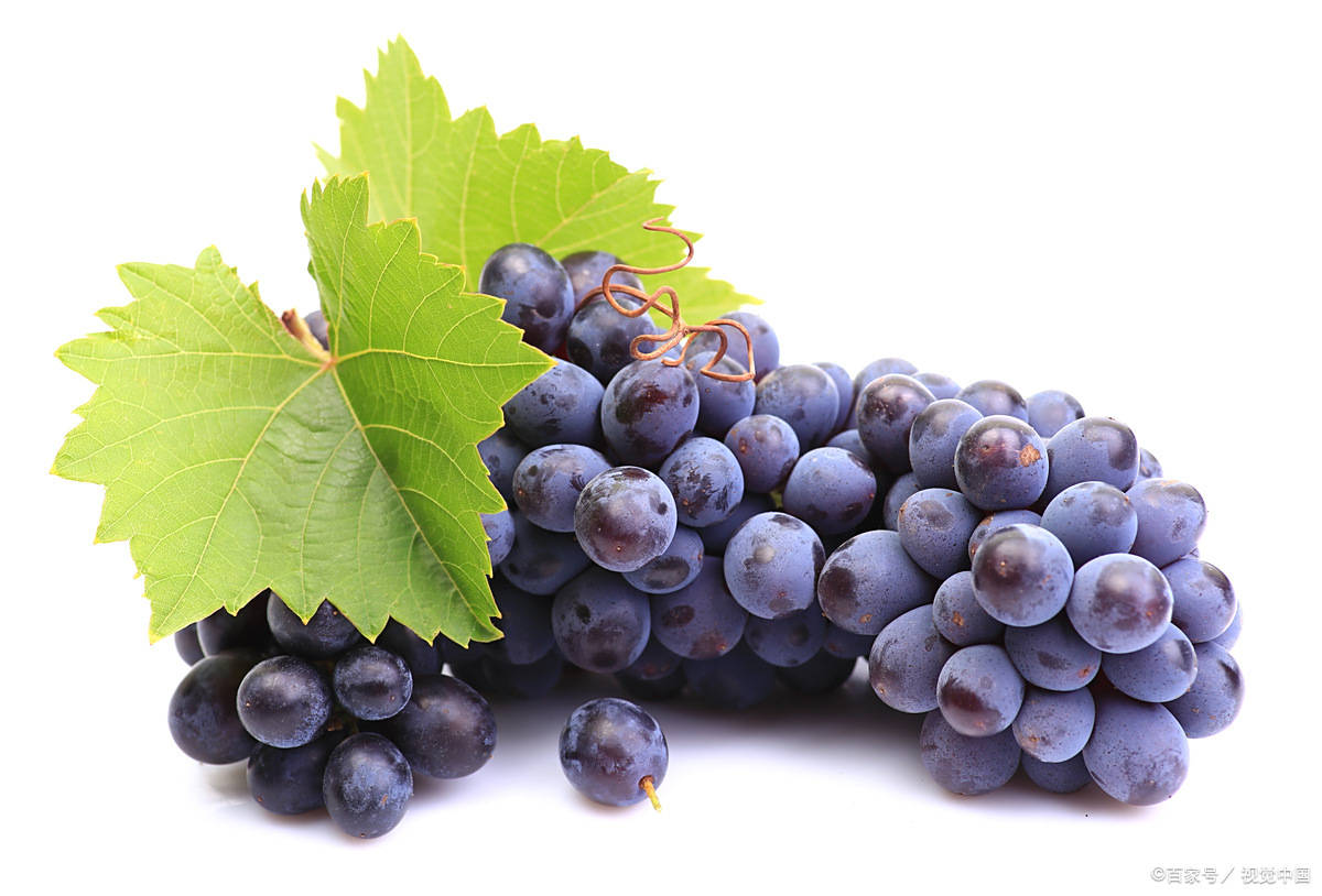 如何最大化水果中抗衰老效果的关键点！战痘宣颜