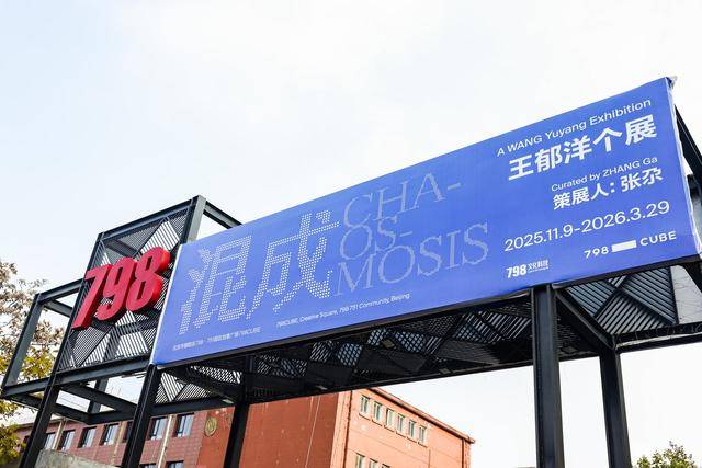 “混成：王郁洋个展”798开幕，科技与艺术碰撞为中国当代艺术带来新思考