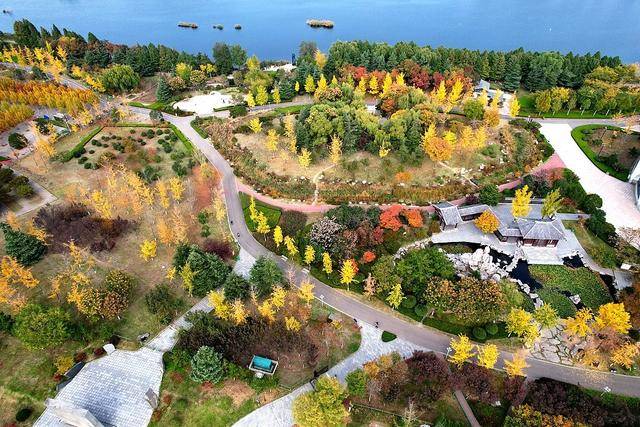 临沂：书法广场