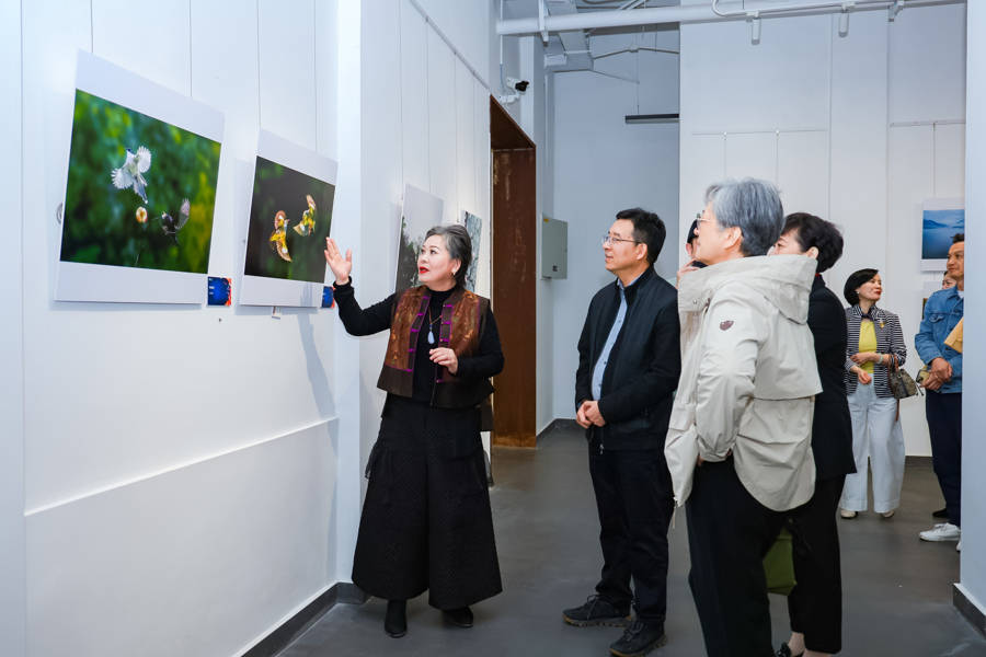 银发展才艺，夕阳更美好！第二十届闵行区老年教育艺术节闭幕