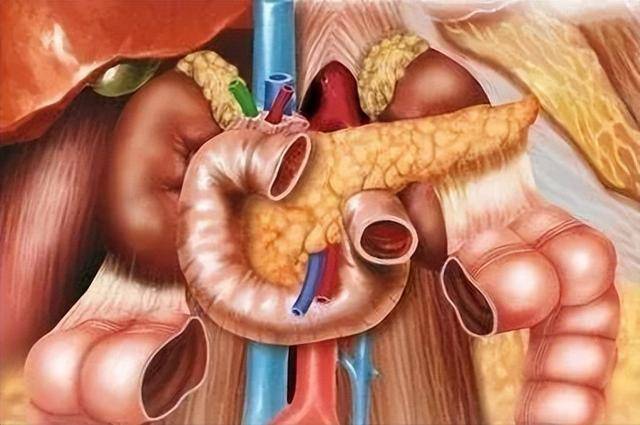 不想用胰岛素，“1个中成药”帮你稳住血糖！