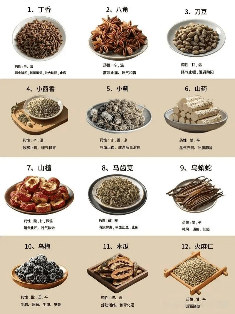 速看！2025版卫健委《药食同源106种食材目录》发布！
