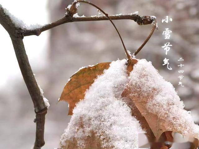 11月22日小雪，有钱没钱记得“吃3样，做2事”，御寒保暖安康越冬