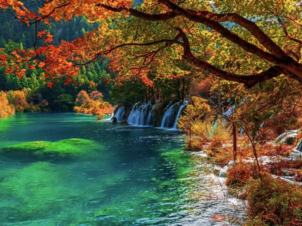 人生要有创新追求