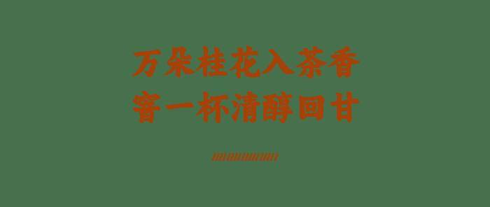 建议：把茶叶换成它！