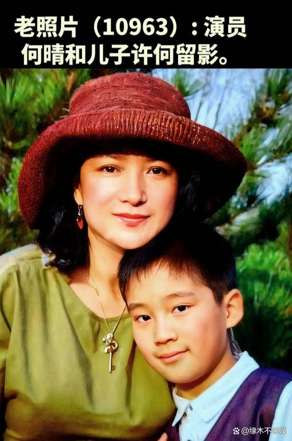 原创            何晴去世后续：同学曝其生前诸多苦恼，儿子出生户口不能上自己家