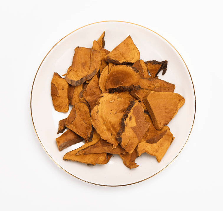 探秘桑黄在卵巢癌治疗中的潜在价值——“桑黄与健康研究”