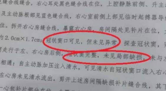 小洛熙法医报告公布 法律不能再缺席丨中听