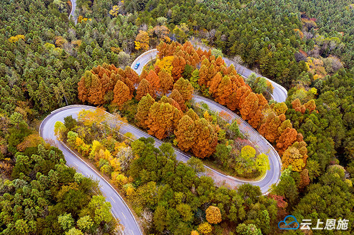 巴东：冬阳映彩林 层林绘画卷