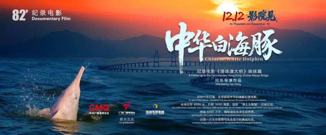 全球首部！六年磨一剑，珠海电影《中华白海豚》12日公映