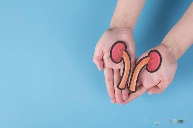 男性功能差？别盲目补肾！疏肝+补肾+健脾，三管齐下更靠谱