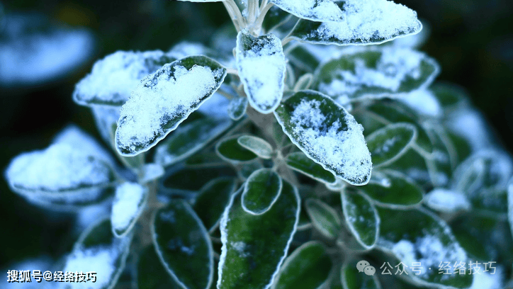 原创            拍八虚，很多人一开始就错了，“以通为补”，才能让全身更通畅