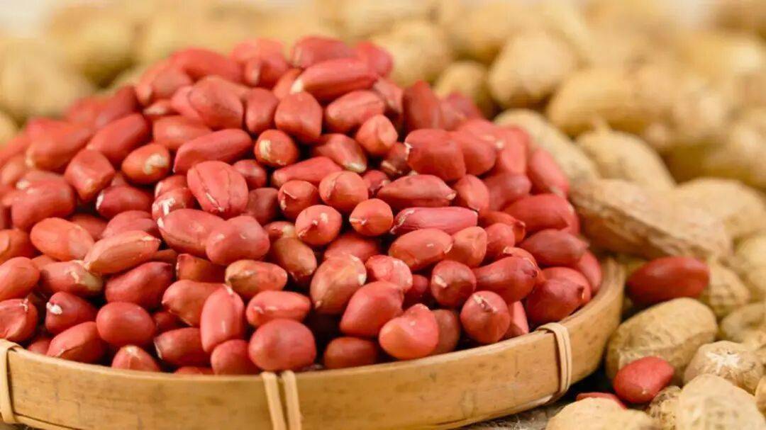 花生暗藏抗衰密码？《Cell》：能补充NAD+，至多延长生命周期30%