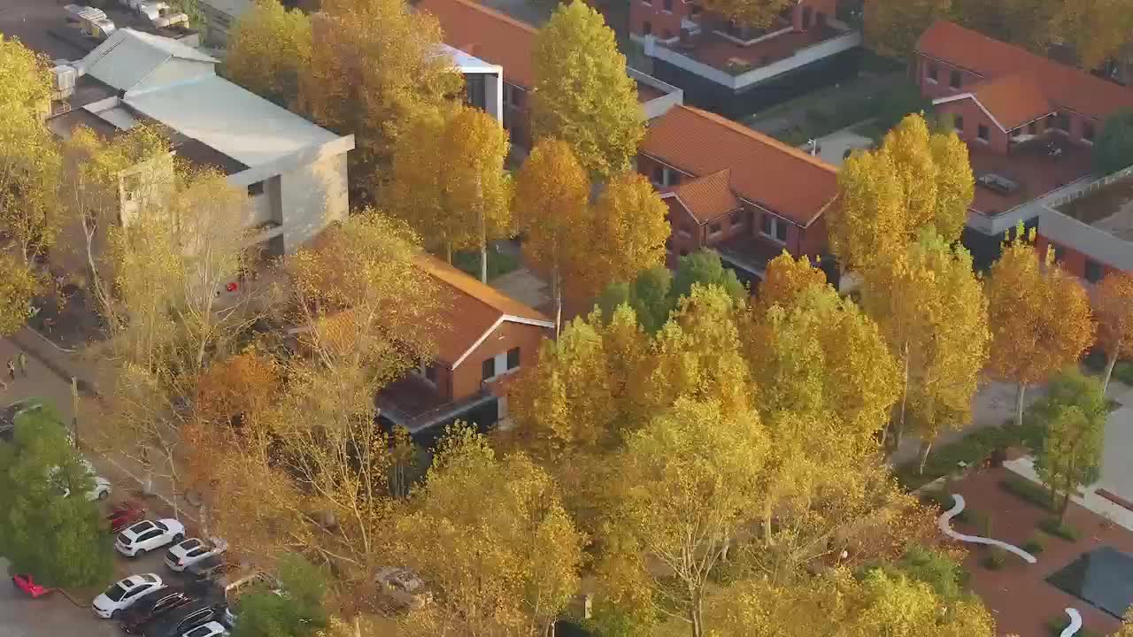 华科大冬至沙龙煮出烟火气