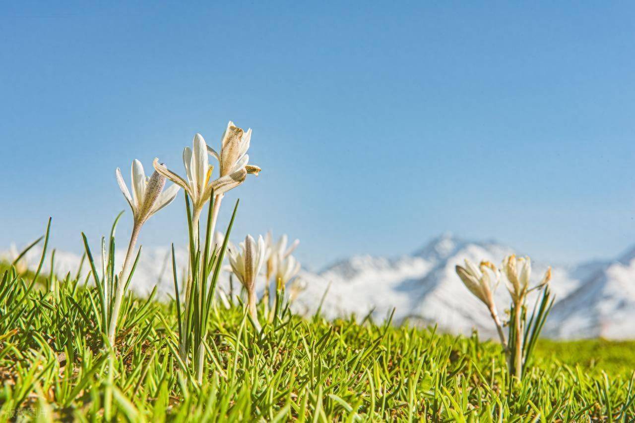 男人如此跟你“客气”，是已经变心不爱了