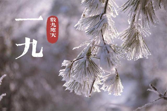 冬至后开始数九，记得：吃2样，喝2样，做2事，温补抗寒，乐过冬