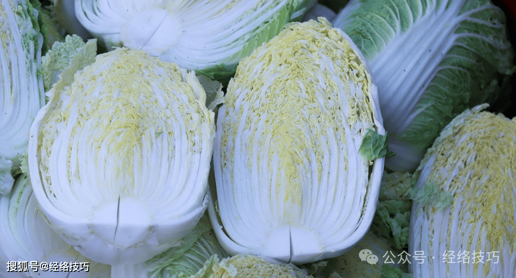 原创            冬天多吃这个便宜的蔬菜，把身体内的「残渣」都排出去