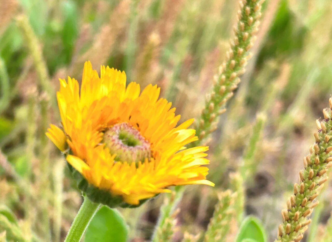 原创            男人，不想和你过下去，藏不住的破绽