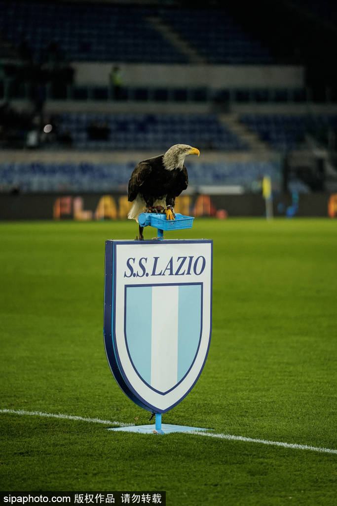 法比奥双响助力国安，2-0击败河南进军足协杯决赛！