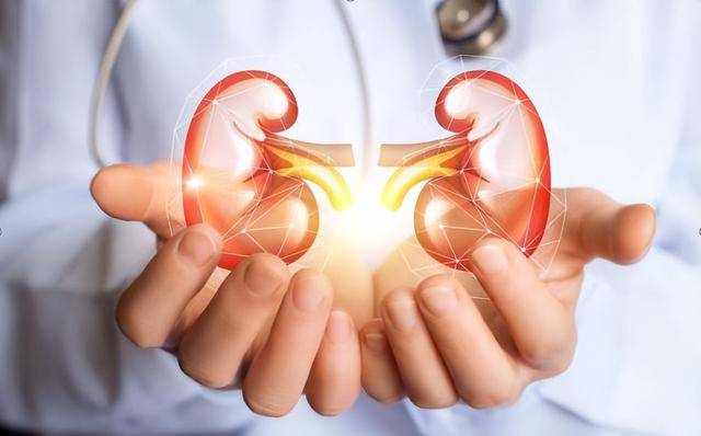 提醒：男人想养好肾，建议少碰这2种食物，容易让你越养越虚