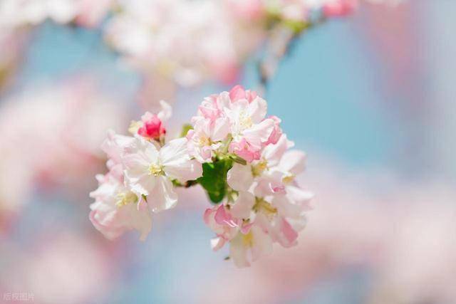 男人，把你放在心尖上，会这些举动