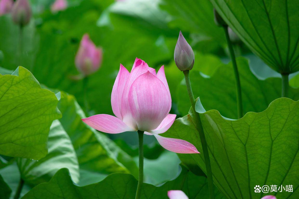 想让男人爱到上瘾，不用讨好，不用天天联系，只需要给他这三个“甜头”