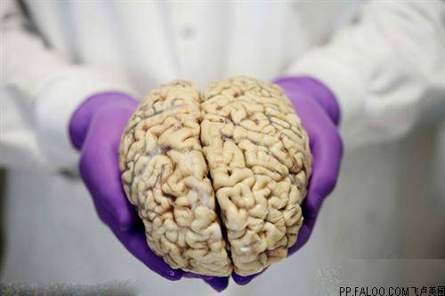 帕金森病为什么要做手术治疗？