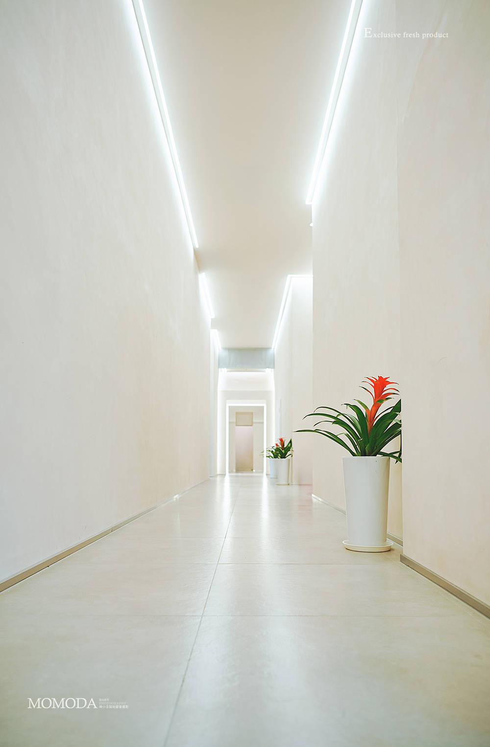 上海古风写真拍摄，3000平国风馆有哪些优势