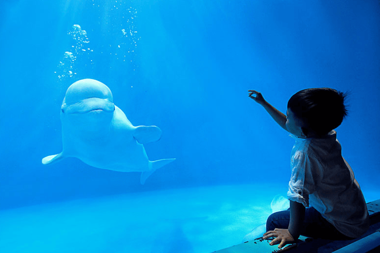 佛山儿童自闭症康复：自闭症孩子情绪崩溃，家长怎么办？