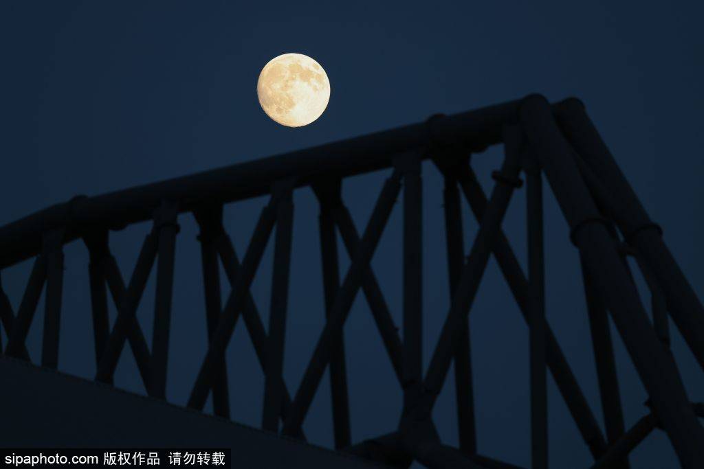 队魂发声！杰拉德：萨拉赫替罪羊的说法是错误的，范戴克应该出面