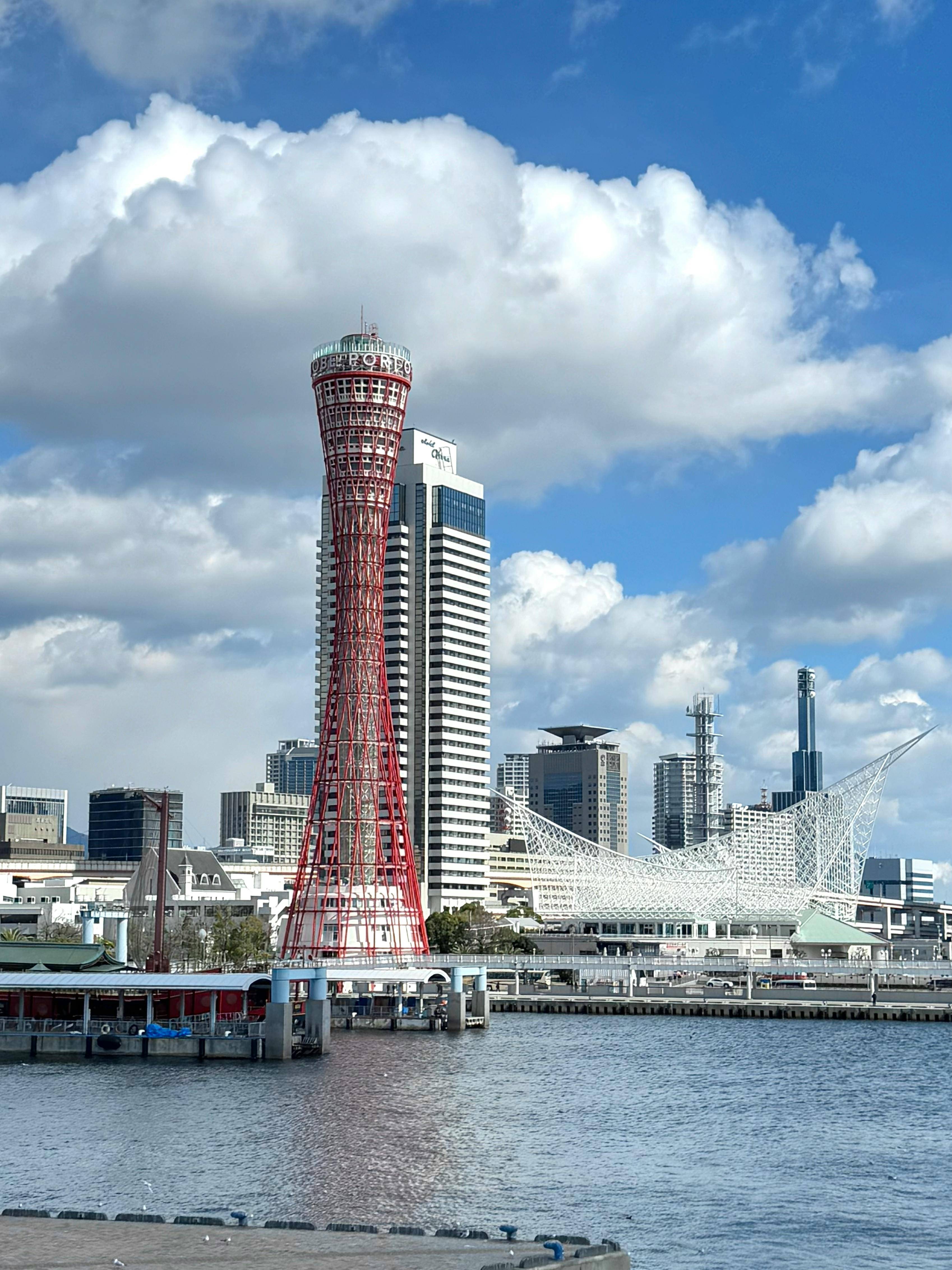 减重神药新突破！礼来三重药物让体重狂减71斤，但这类人不建议用