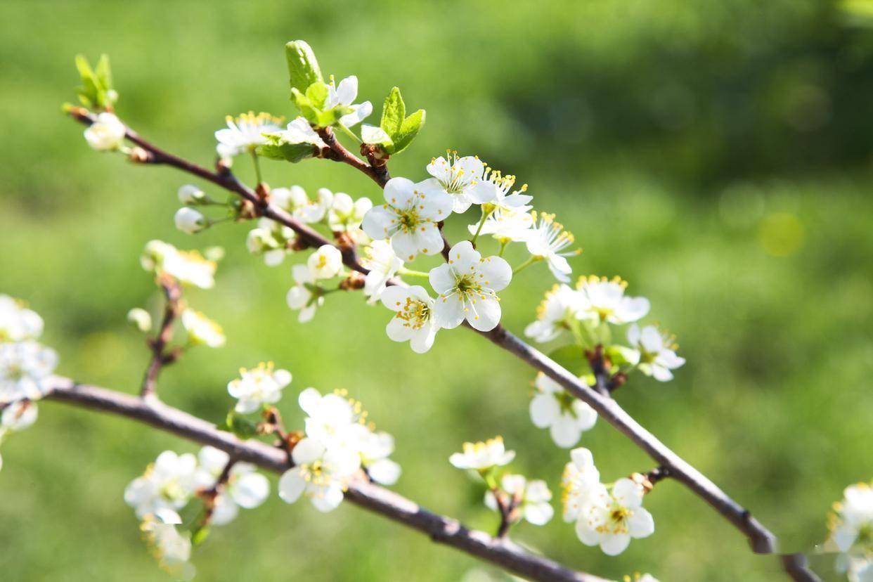 套牢一个男人，别天天联系，而是给他这几个“甜头”