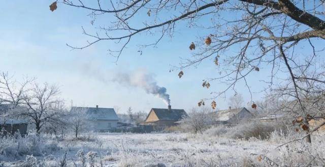立冬补阳不费脑，生姜配苹果，煮碗热汤暖脾胃