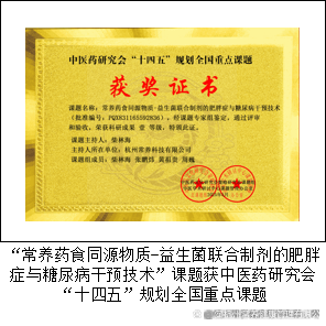 减肥最有效的方法：打破循环的代谢修复革命，为何它能从根源改变你的易胖体质？