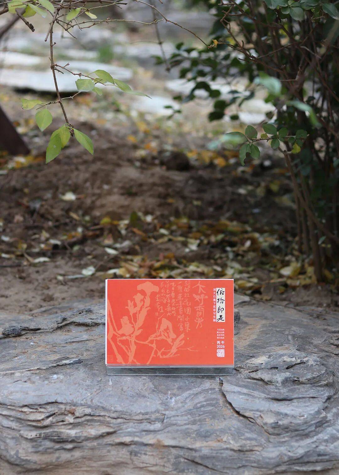 俯拾即是——刘大石塞下花草写生稿·2026台历发行