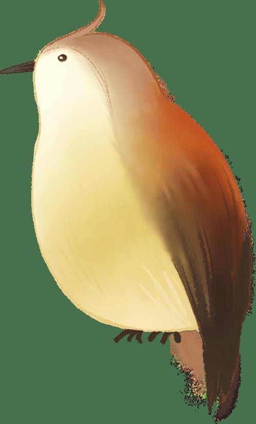 太美了！安顺画家用手中画笔绘制安顺古城风景